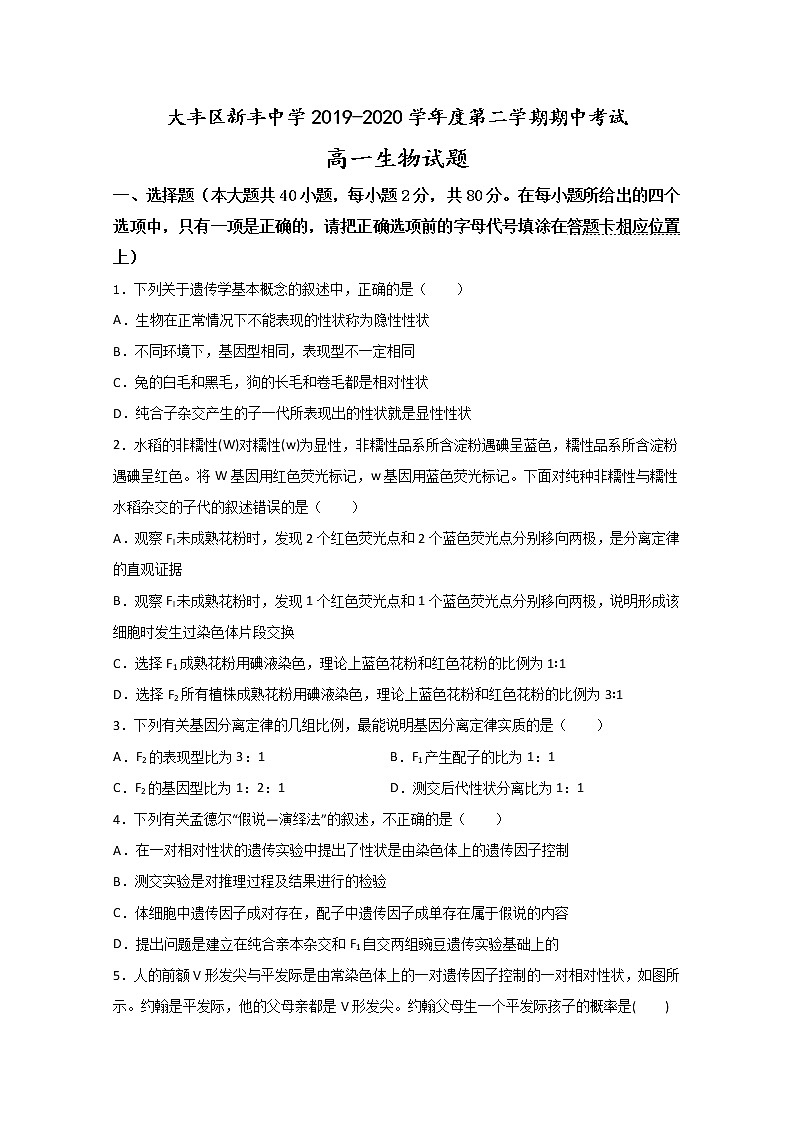 2020盐城大丰区新丰中学高一下学期期中考试生物试题含答案第1页