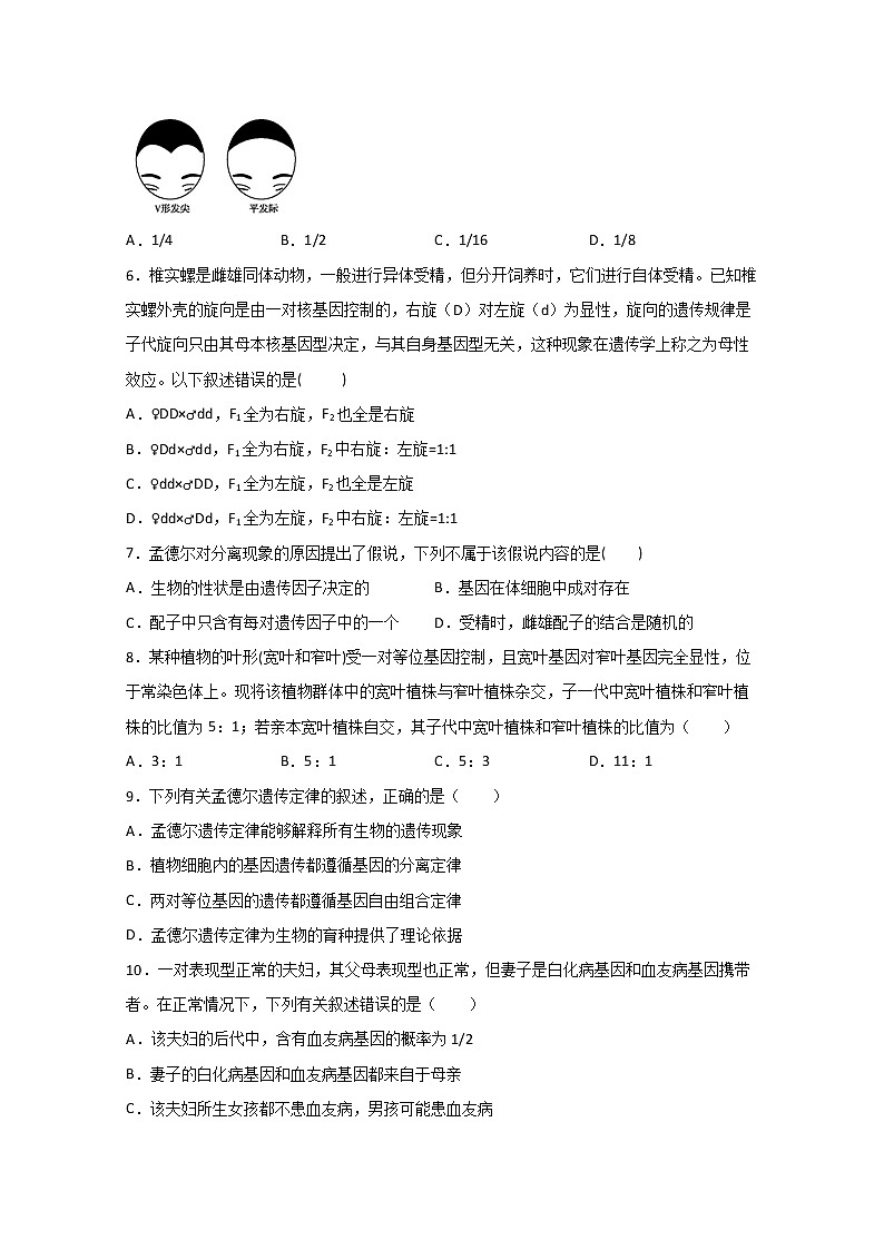 2020盐城大丰区新丰中学高一下学期期中考试生物试题含答案第2页
