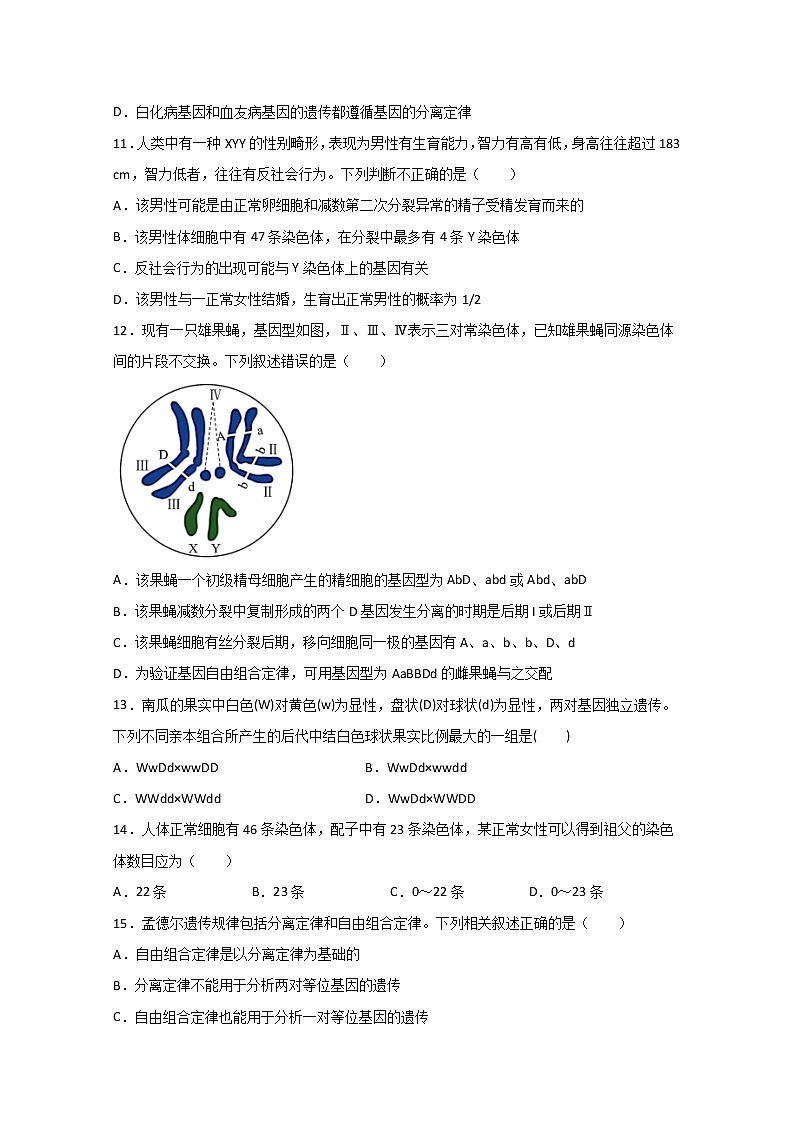 2020盐城大丰区新丰中学高一下学期期中考试生物试题含答案第3页