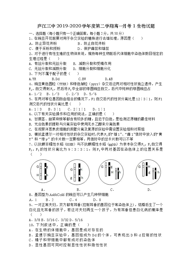 2020合肥庐江三中高一下学期月考（一）生物试题含答案01
