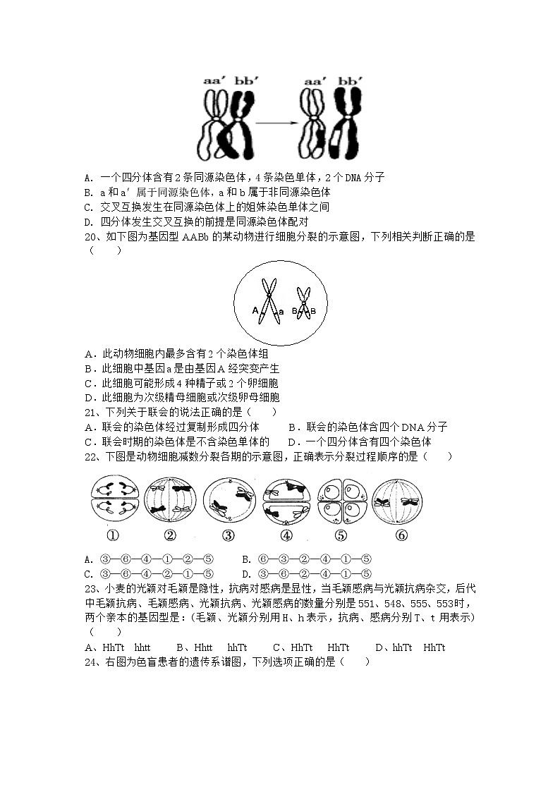 2020合肥庐江三中高一下学期月考（一）生物试题含答案03