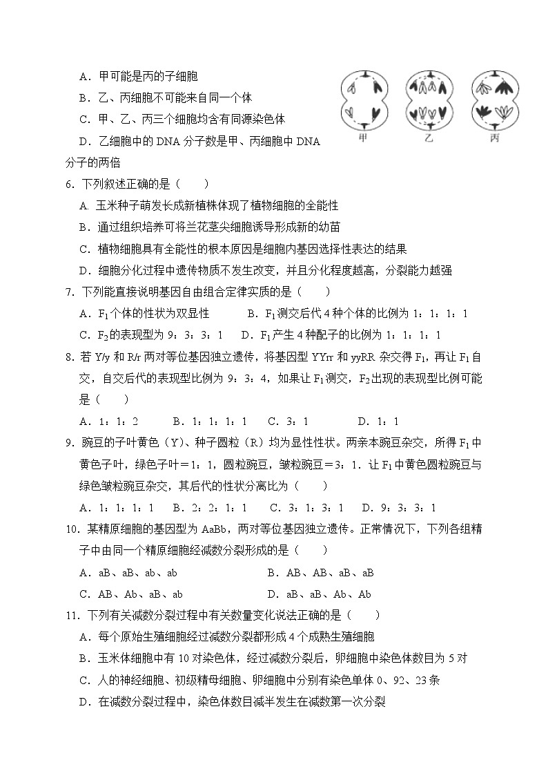 2020四川省仁寿二中、华兴中学高一5月联考（期中）生物试题含答案第2页