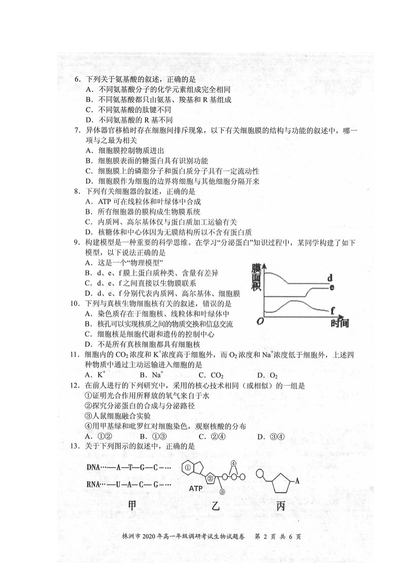 2020株洲高一下学期调研考试生物试题扫描版含答案第2页