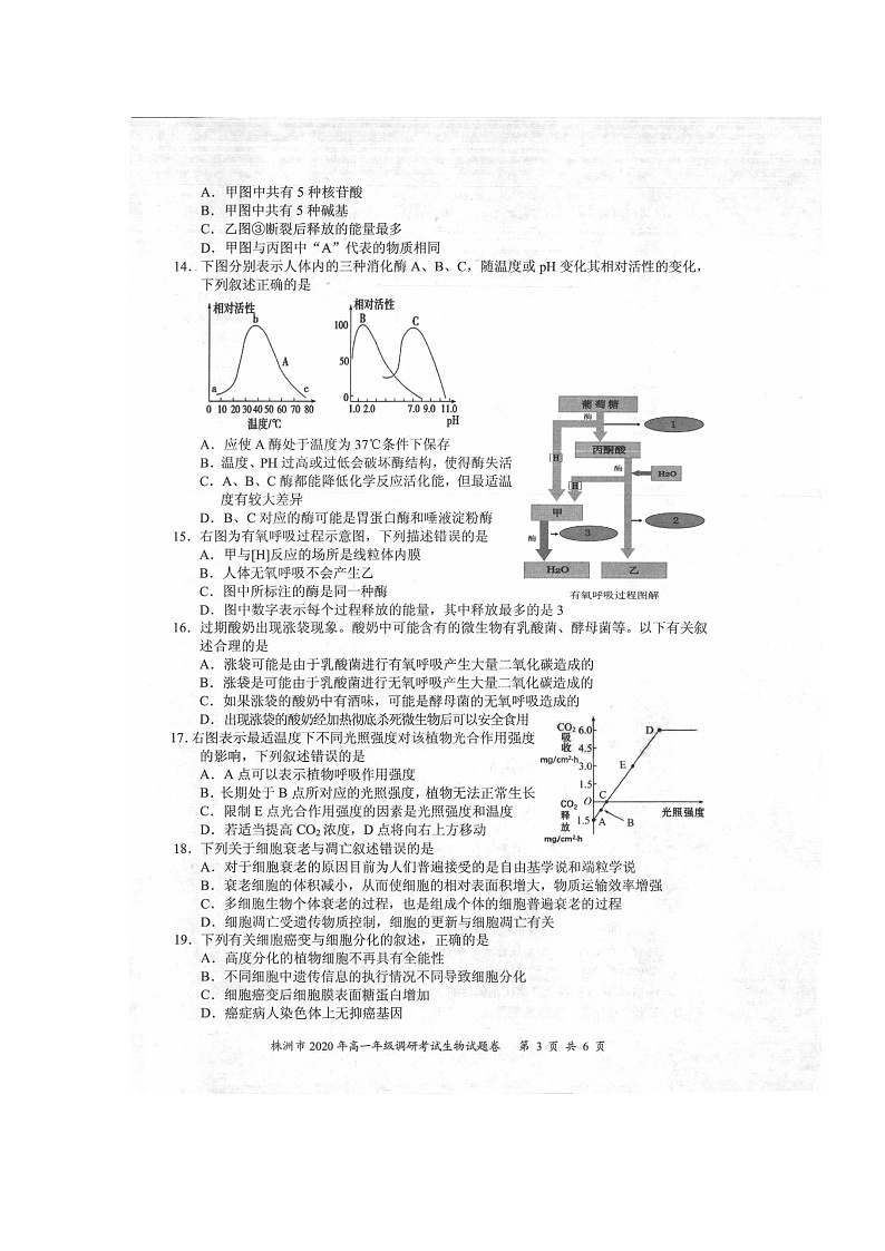 2020株洲高一下学期调研考试生物试题扫描版含答案第3页