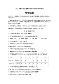 2020宜宾四中校高一下学期期中考试生物试题含答案