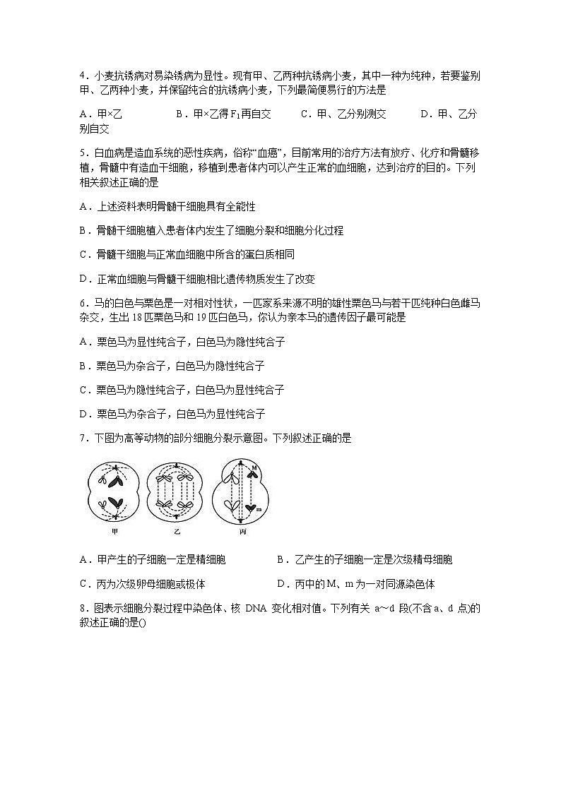 2020宜宾四中校高一下学期期中考试生物试题含答案第2页