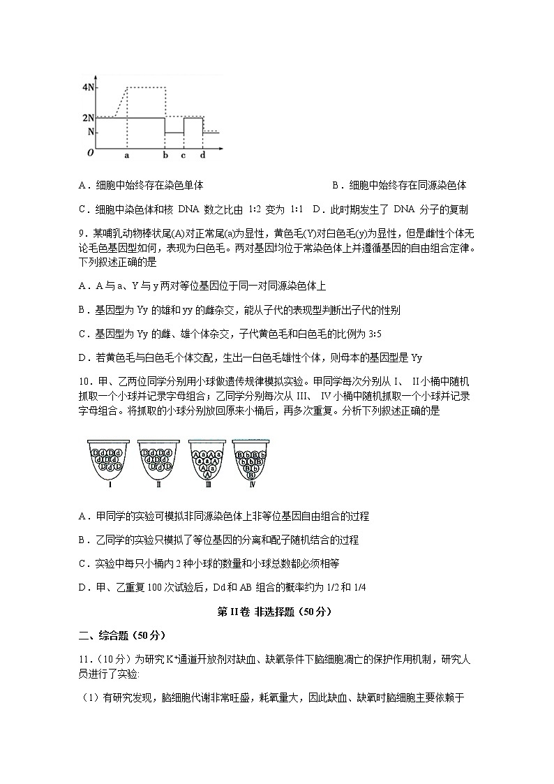 2020宜宾四中校高一下学期期中考试生物试题含答案第3页
