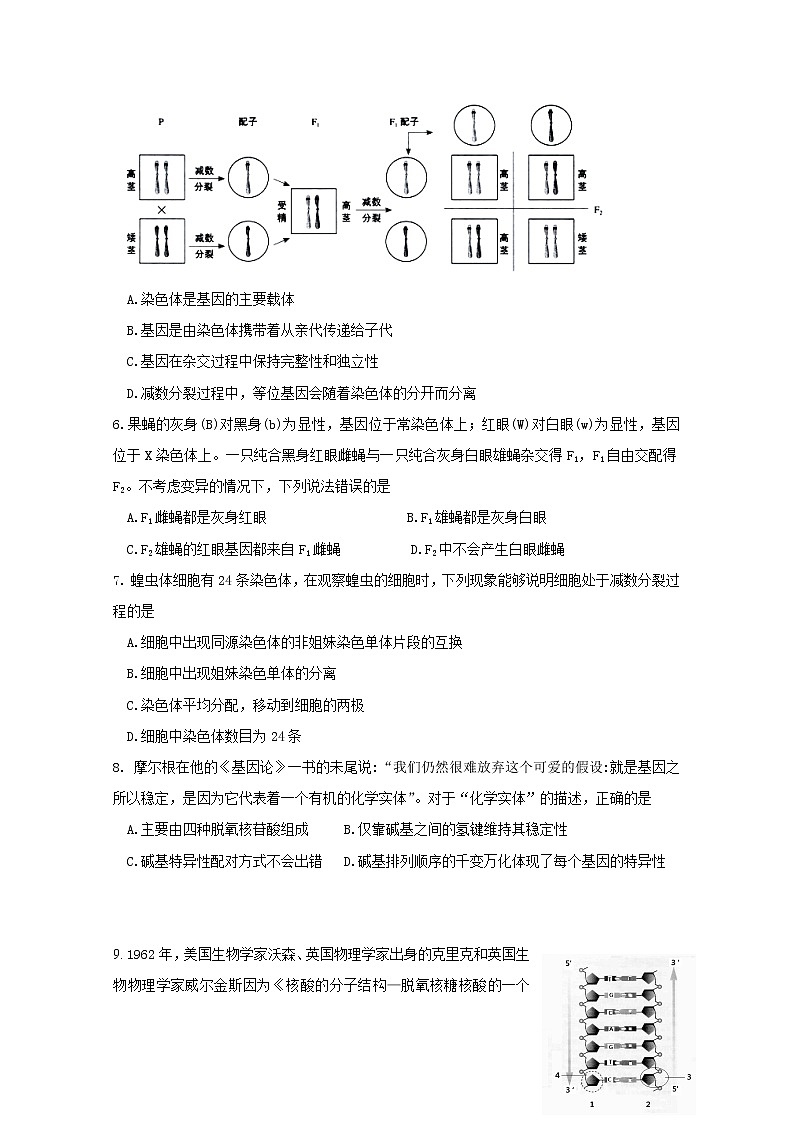 2020潍坊五县高一下学期期中考试生物试题含答案02