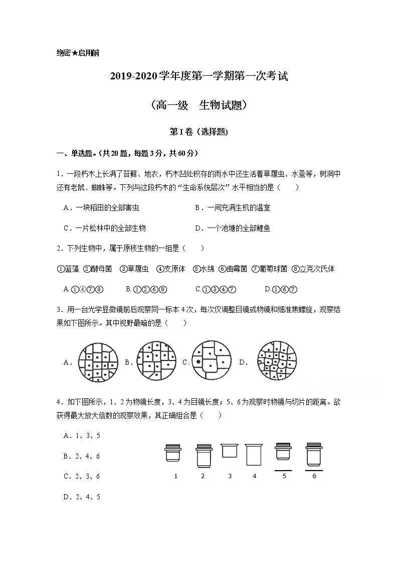 2020江门二中高一上学期第一次月考生物试题含答案第1页
