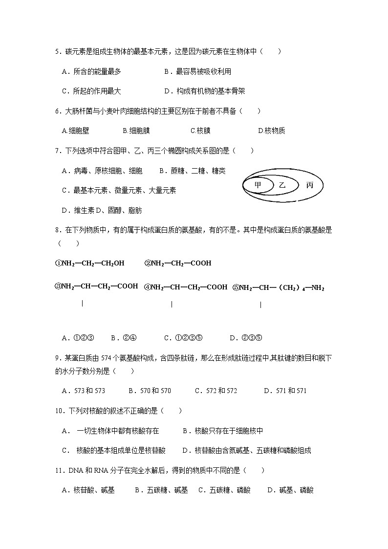 2020江门二中高一上学期第一次月考生物试题含答案第2页