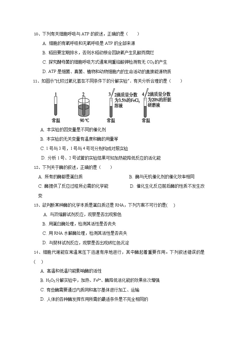 2020福建省永安三中高一5月月考生物试题含答案03