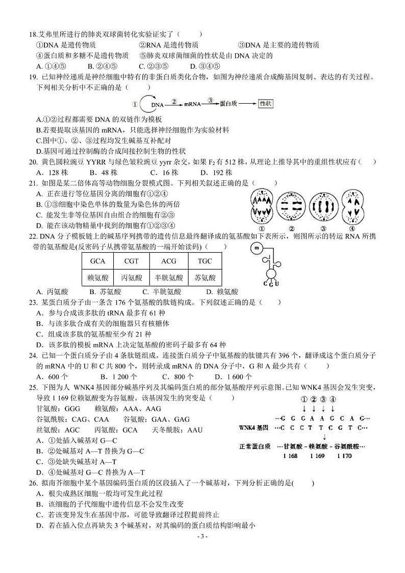 2020唐山海港高级中学高一下学期期中考试生物试题PDF版含答案03