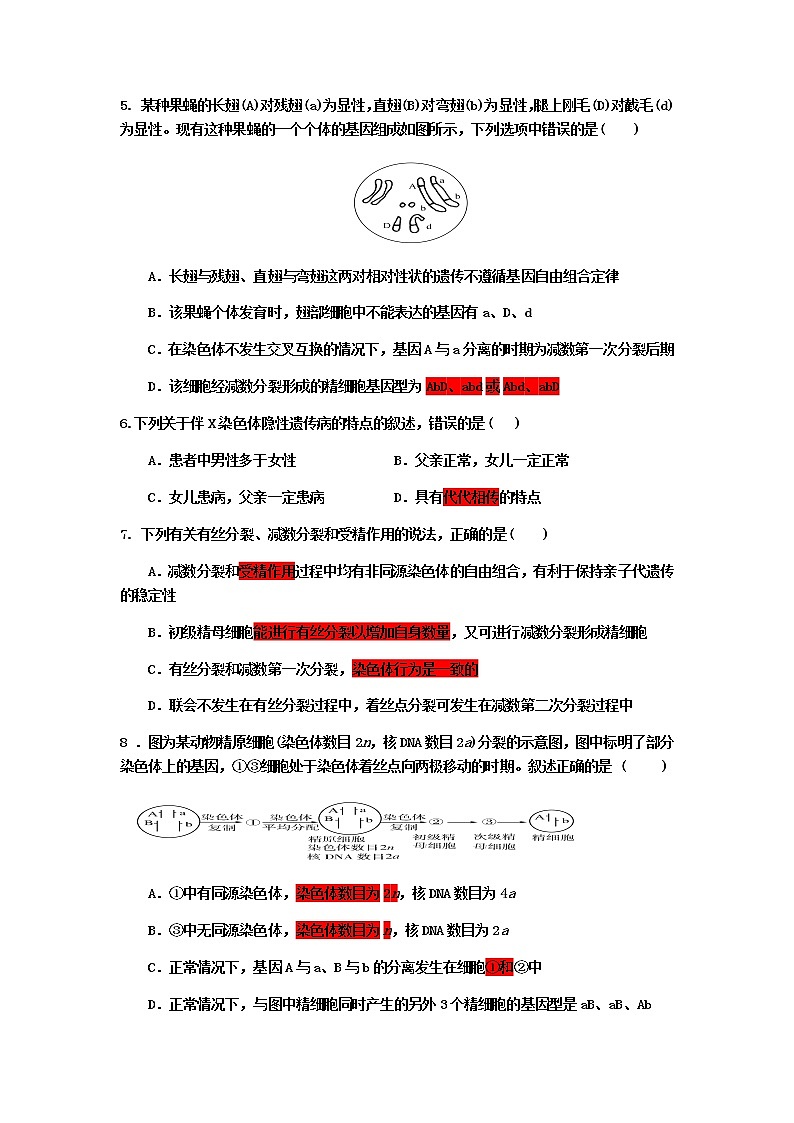 2020新泰一中高一下学期期中考试生物试题含解析第2页