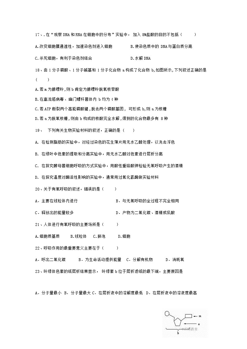 2020仁寿县文宫中学高一5月月考生物试题含答案03