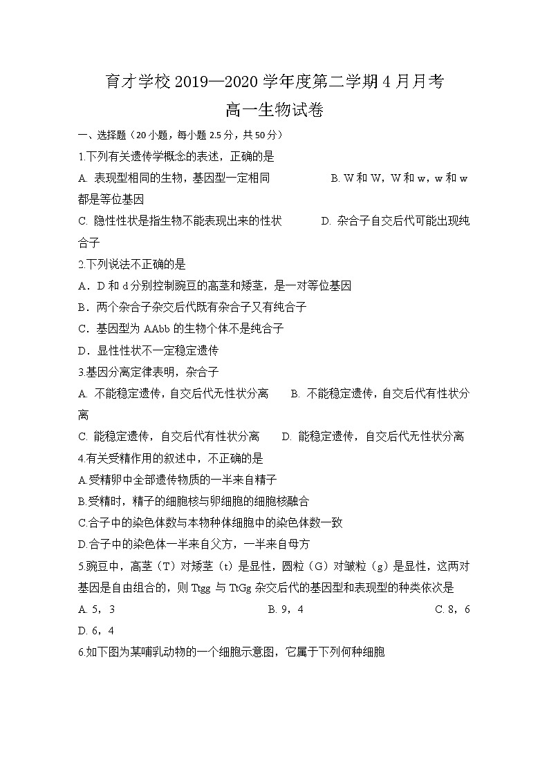 2020定远县育才学校高一下学期4月月考生物试题含答案01