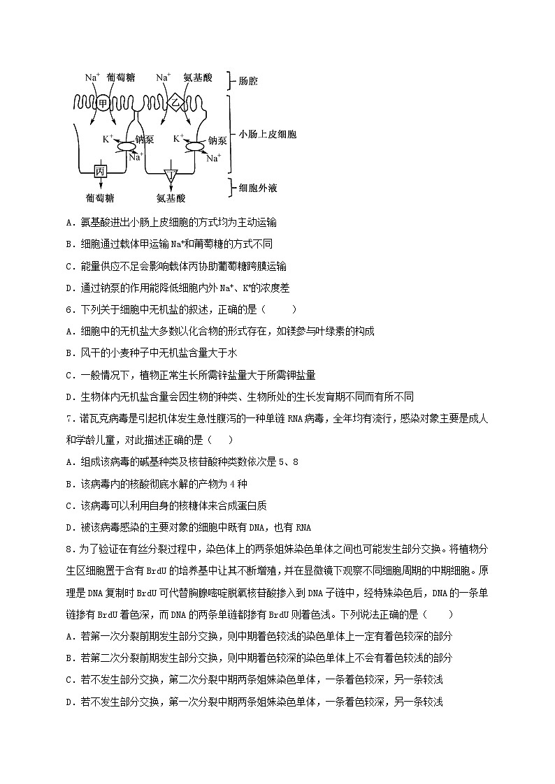 2020北京平谷区五中高一4月月考生物试题含答案第2页