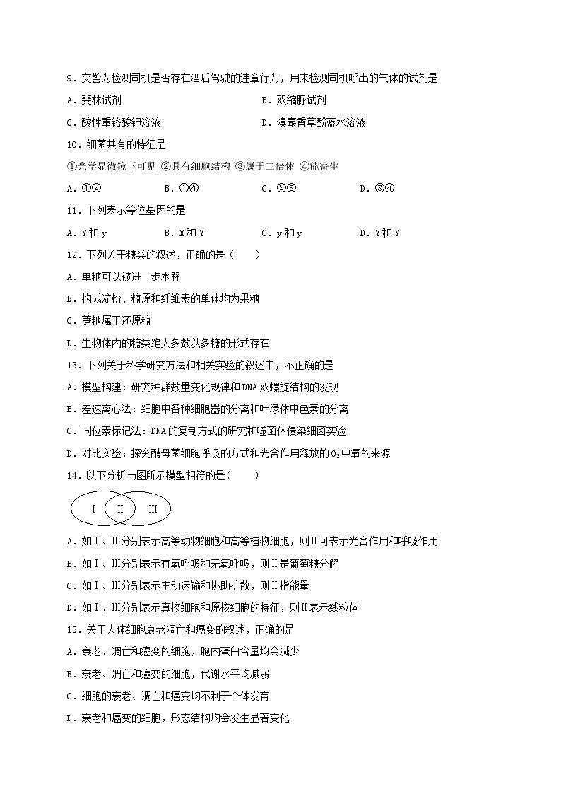 2020北京平谷区五中高一4月月考生物试题含答案第3页