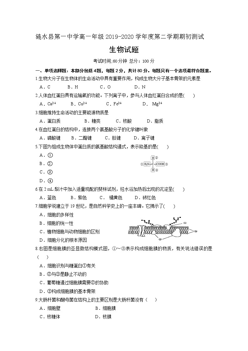 2020淮安涟水县一中高一下学期期初测试生物试题含答案第1页