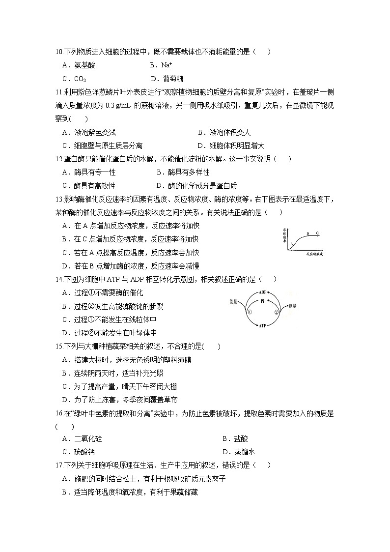 2020淮安涟水县一中高一下学期期初测试生物试题含答案第2页