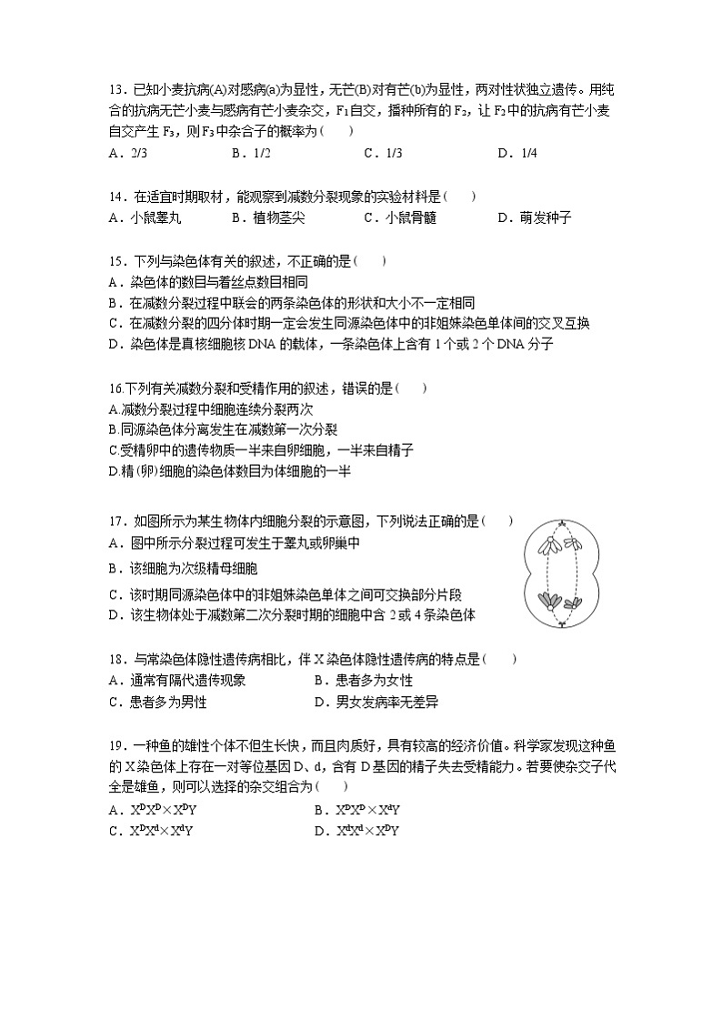 2020武汉第三十九中学高一下学期线上期中考试生物试题缺答案第3页