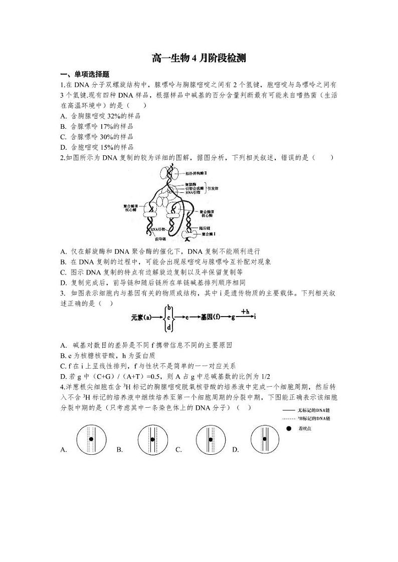 2020烟台二中高一下学期4月月考生物试题PDF版含答案01