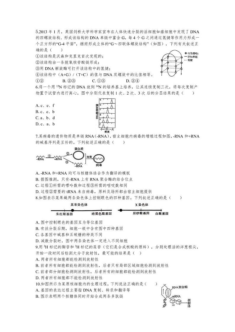 2020烟台二中高一下学期4月月考生物试题PDF版含答案02