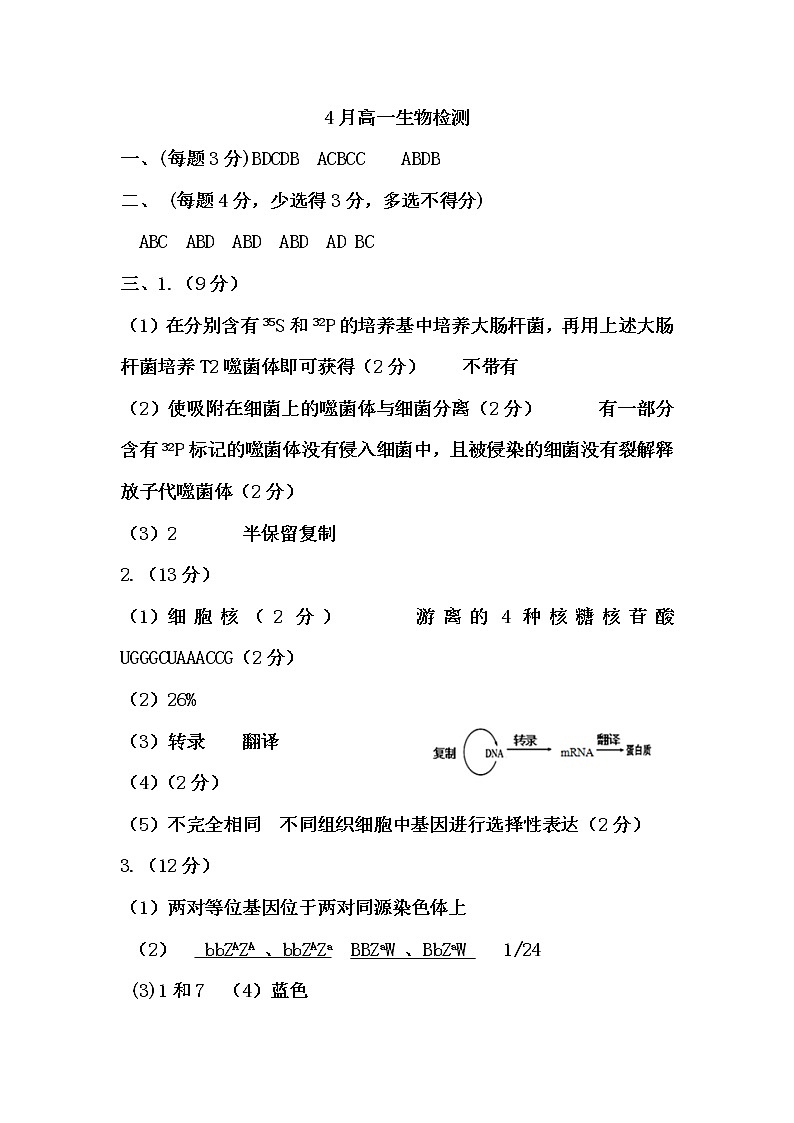 2020烟台二中高一下学期4月月考生物试题PDF版含答案01