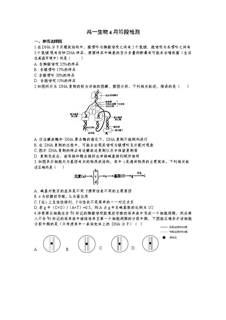 2020烟台二中高一下学期4月月考生物试题含答案01