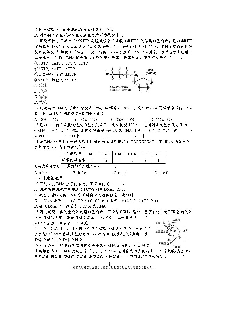2020烟台二中高一下学期4月月考生物试题含答案03