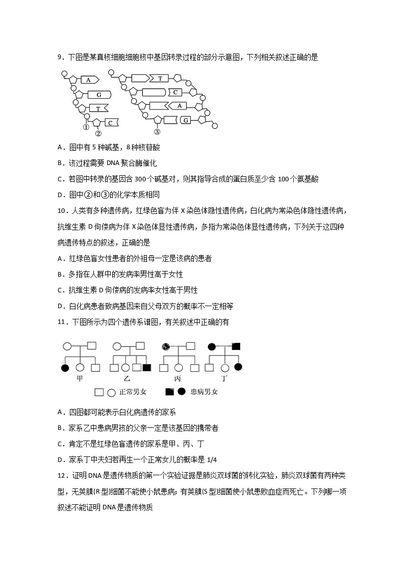 2020四川省棠湖中学高一下学期第二次月考生物试题含答案第3页