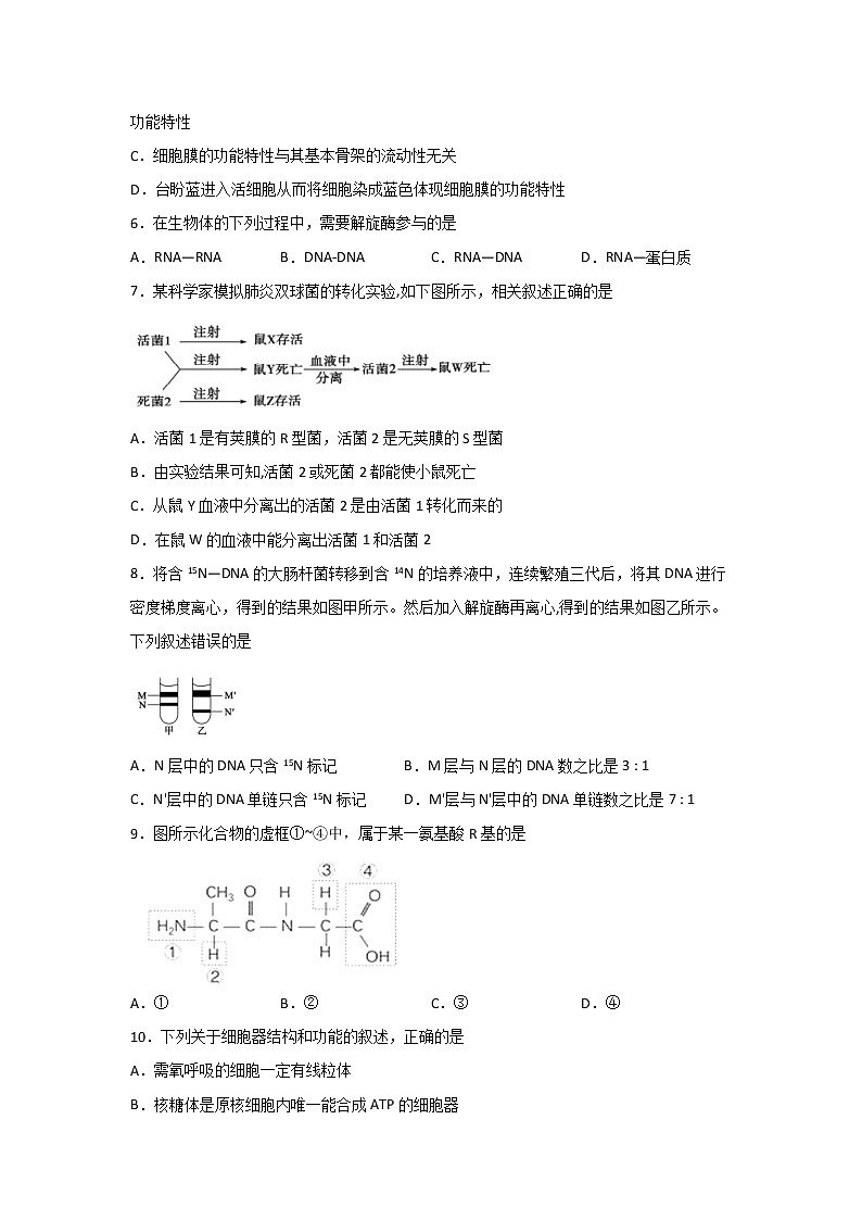 2020泸县五中高一下学期第一次在线月考生物试题含答案第2页