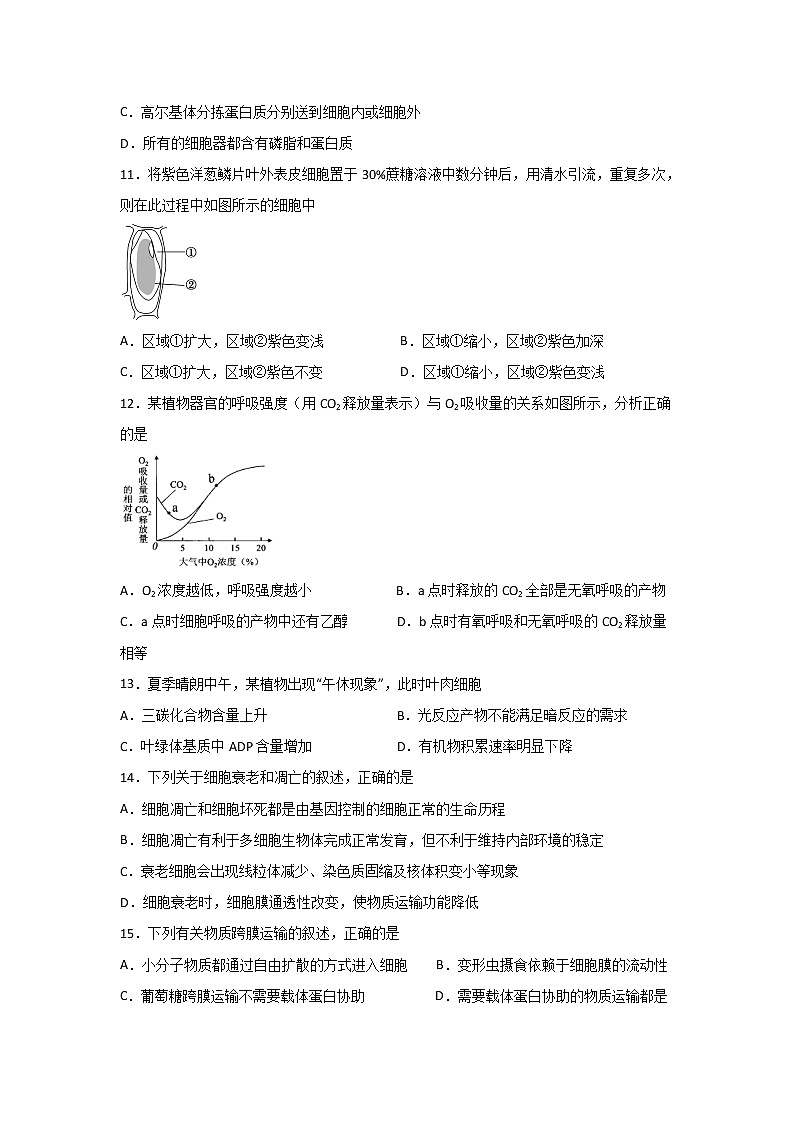 2020泸县五中高一下学期第一次在线月考生物试题含答案第3页