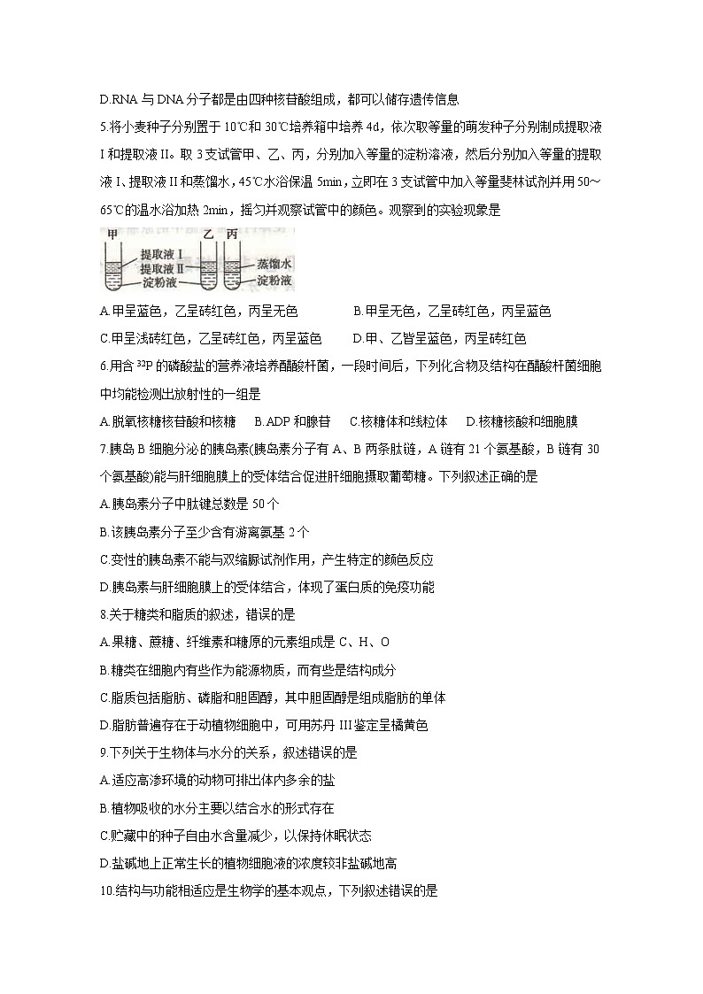 2020开封五县联考高一上学期期末考试生物含答案02