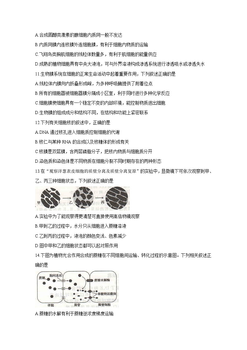 2020开封五县联考高一上学期期末考试生物含答案03