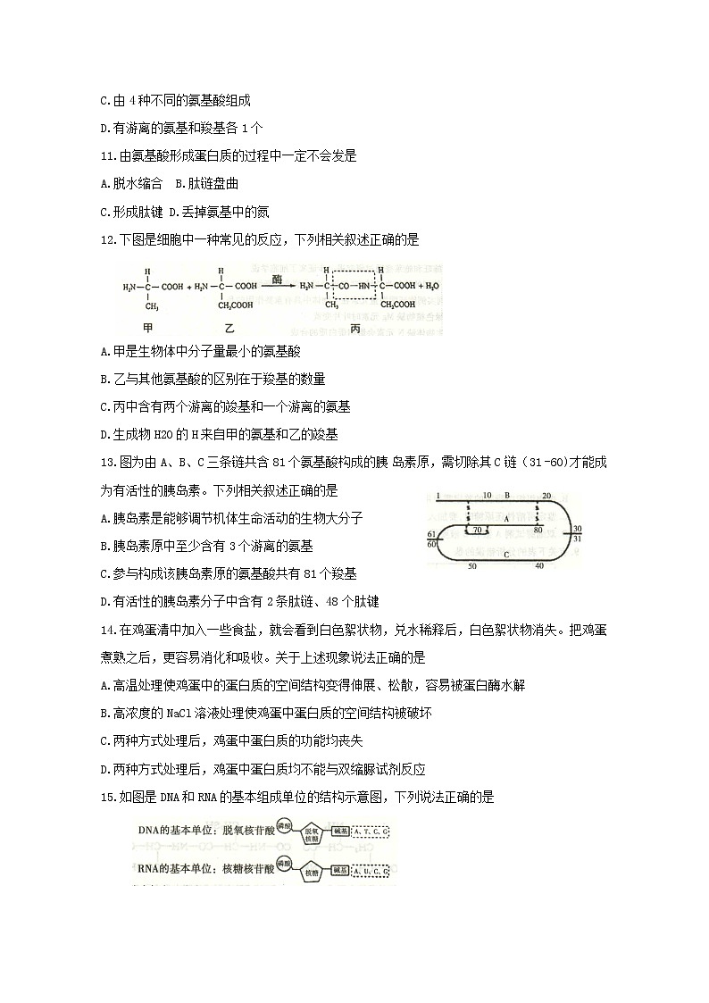 2020定州高一上学期期中考试生物含答案byfeng第3页