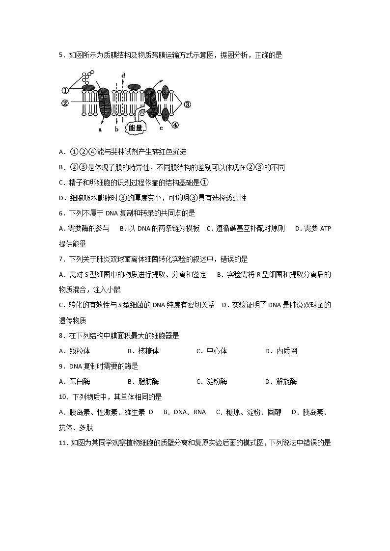 2020宜宾叙州区一中校高一下学期第一次在线月考生物试卷含答案第2页