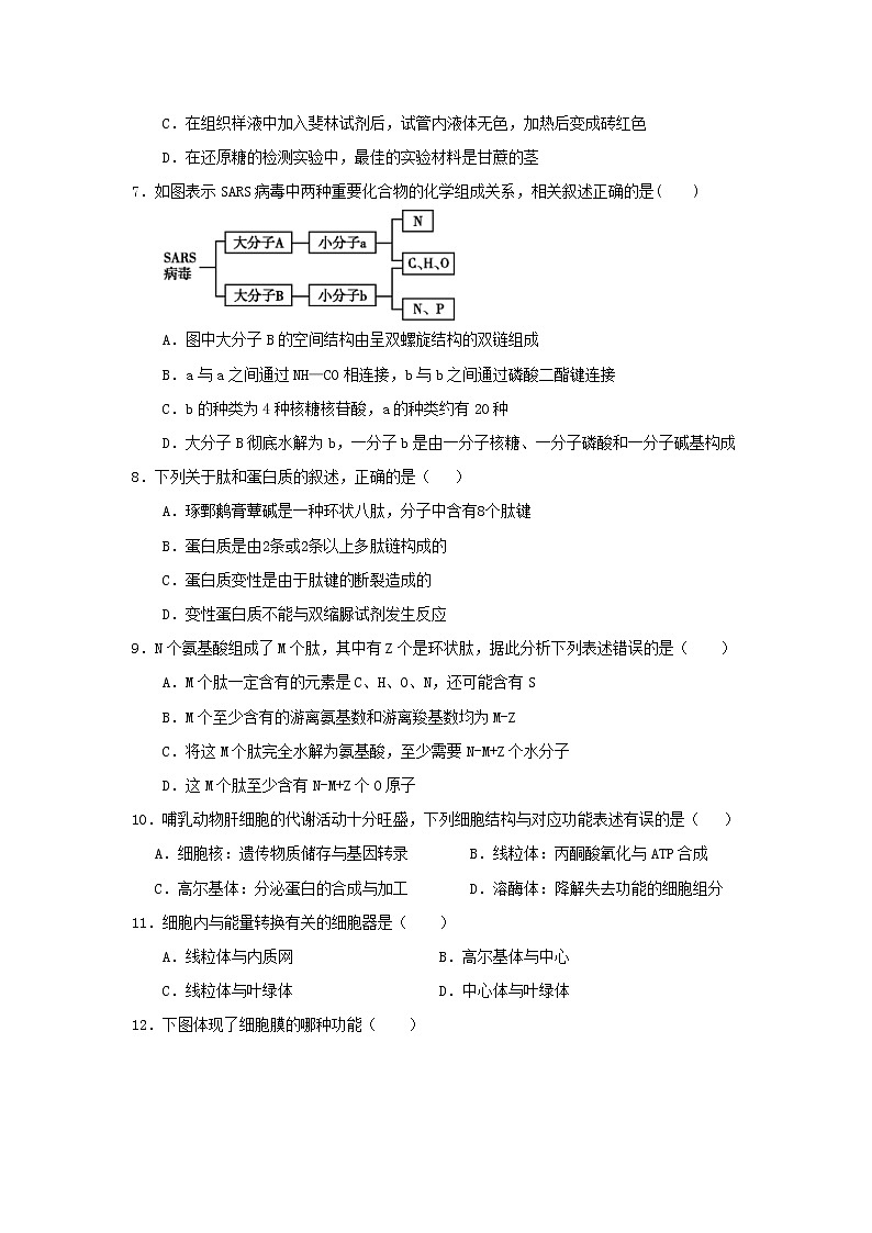 2020蕉岭县蕉岭中学高一上学期期末考试生物试题含答案第2页
