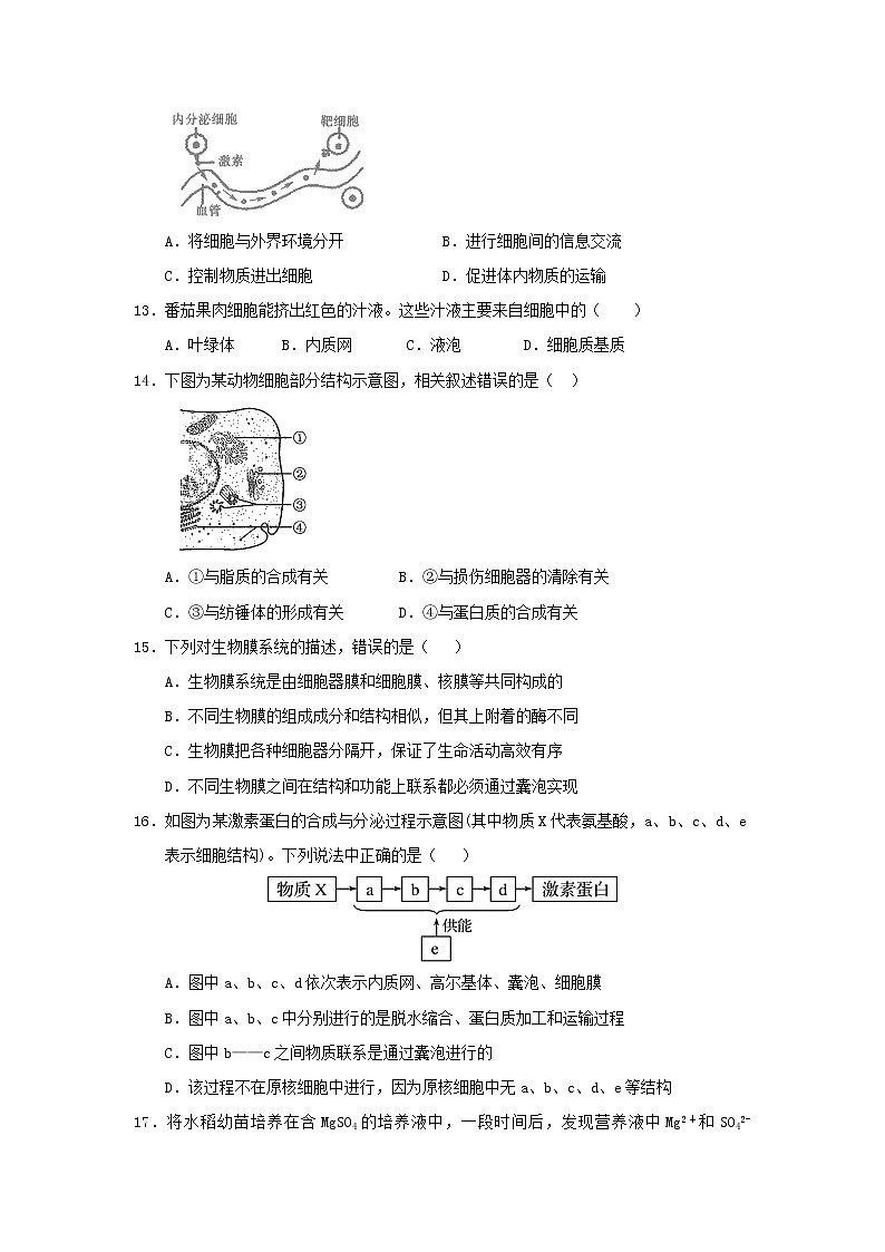 2020蕉岭县蕉岭中学高一上学期期末考试生物试题含答案第3页