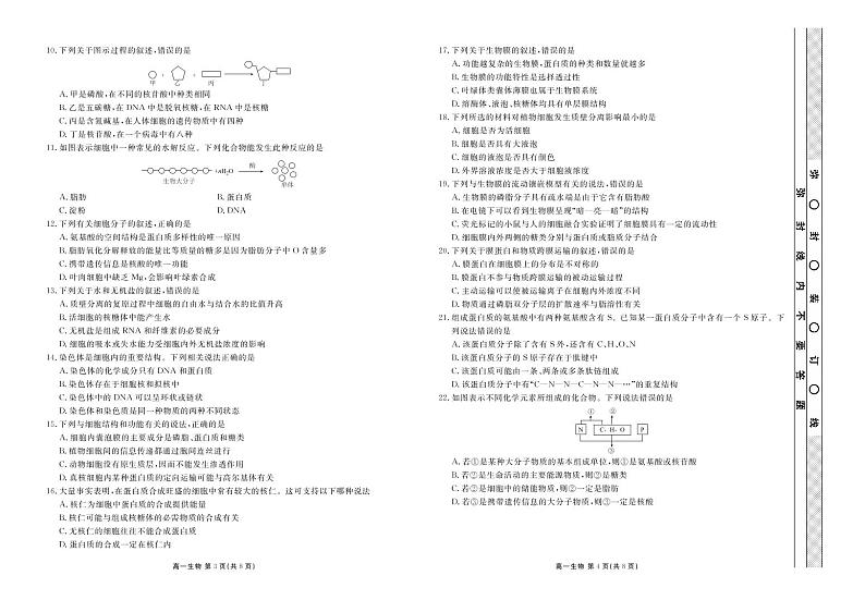 2020淄博高一上学期期中考试生物试卷PDF版含答案02