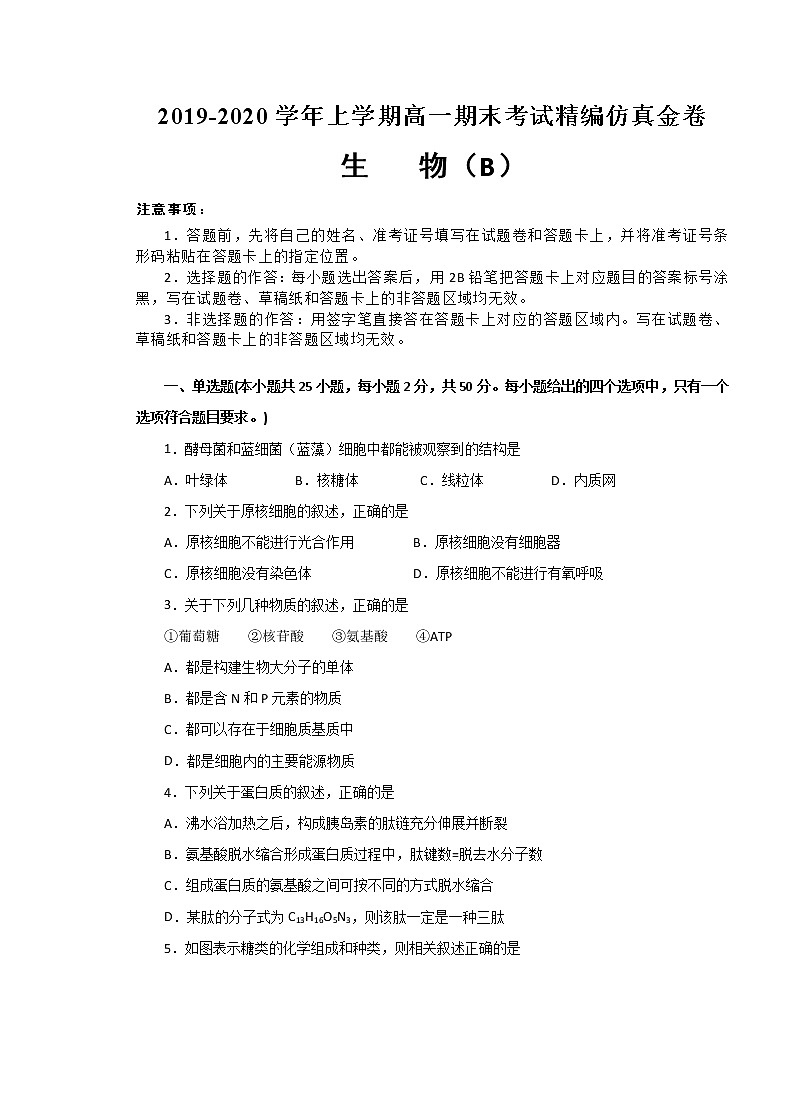 2020湖北省名师联盟高一上学期期末备考精编金卷生物试题（B卷）含解析01