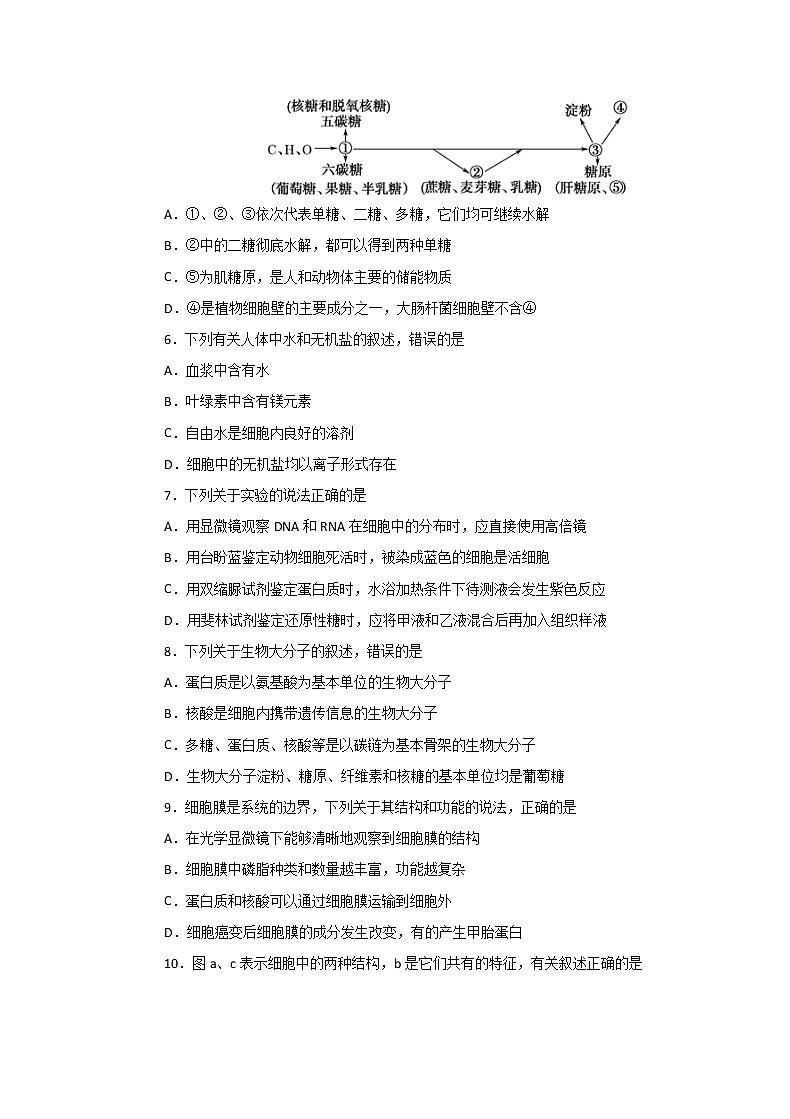 2020湖北省名师联盟高一上学期期末备考精编金卷生物试题（B卷）含解析02