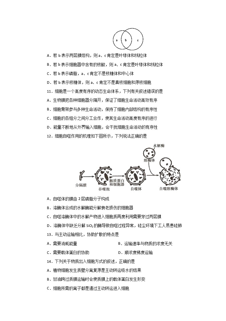2020湖北省名师联盟高一上学期期末备考精编金卷生物试题（B卷）含解析03