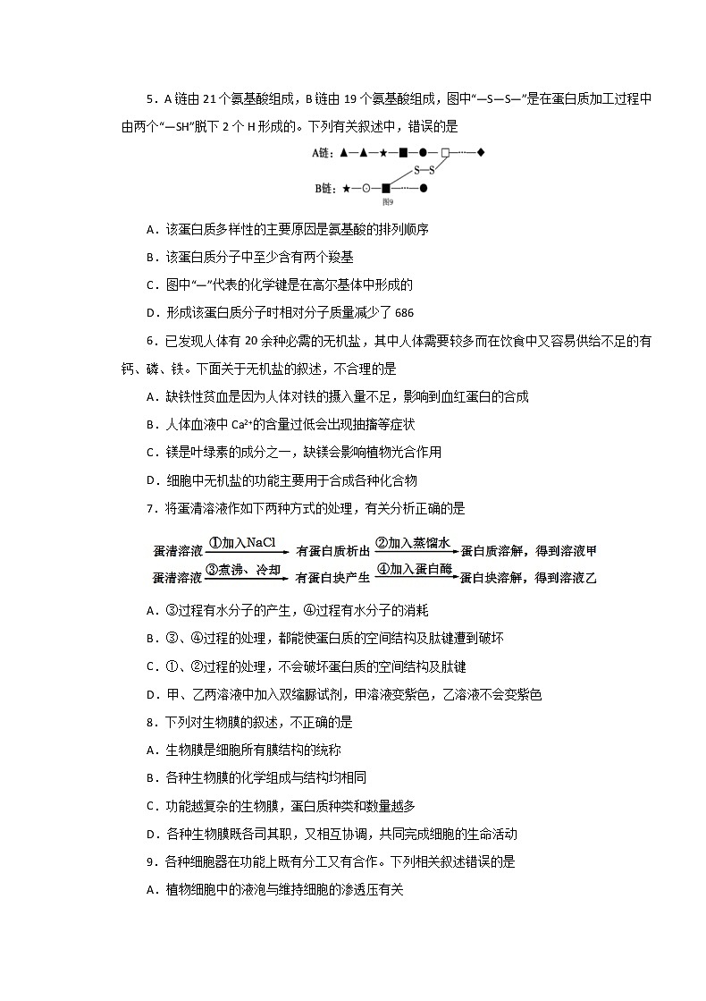 2020湖北省名师联盟高一上学期期末备考精编金卷生物试题（A卷）含解析第2页