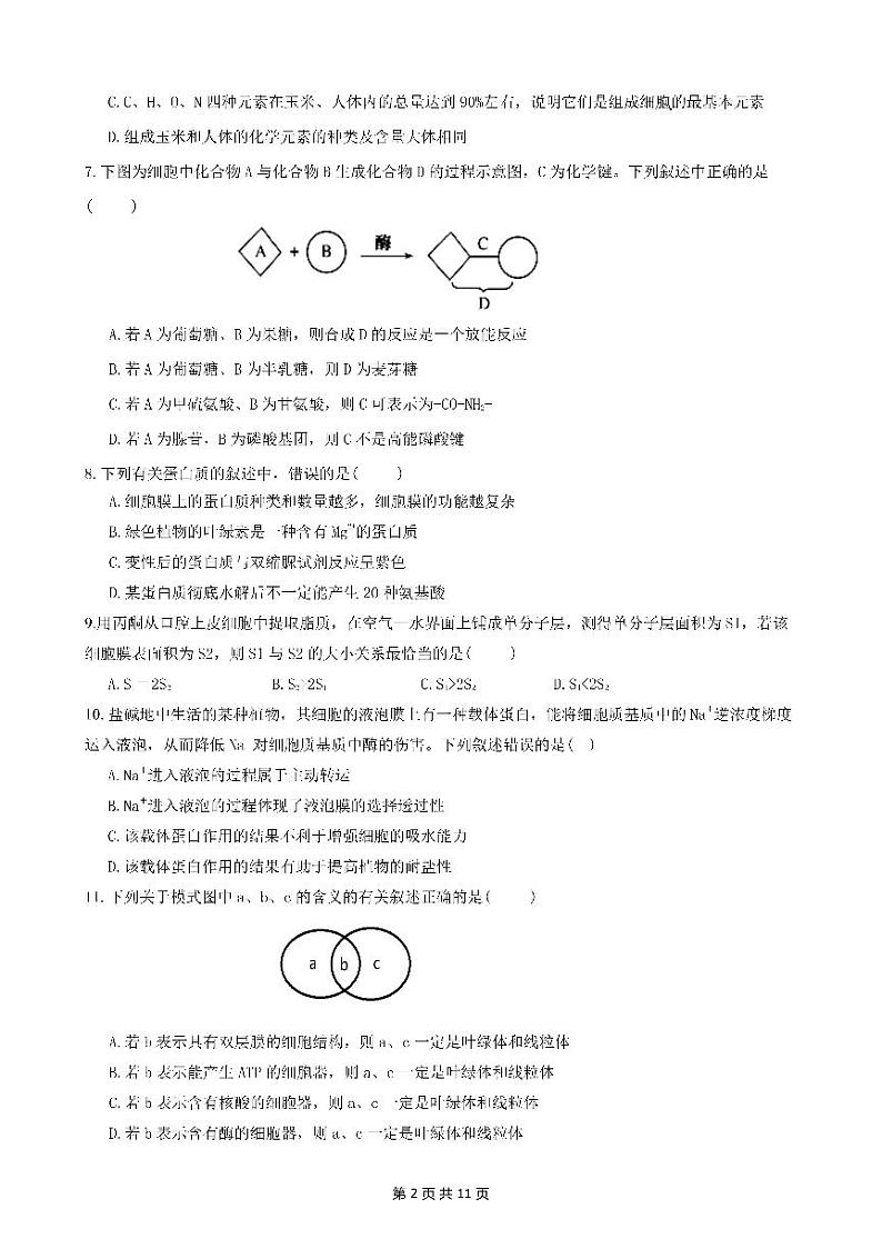 2020成都七中高一上学期期末热身考试生物试题PDF版含答案第2页