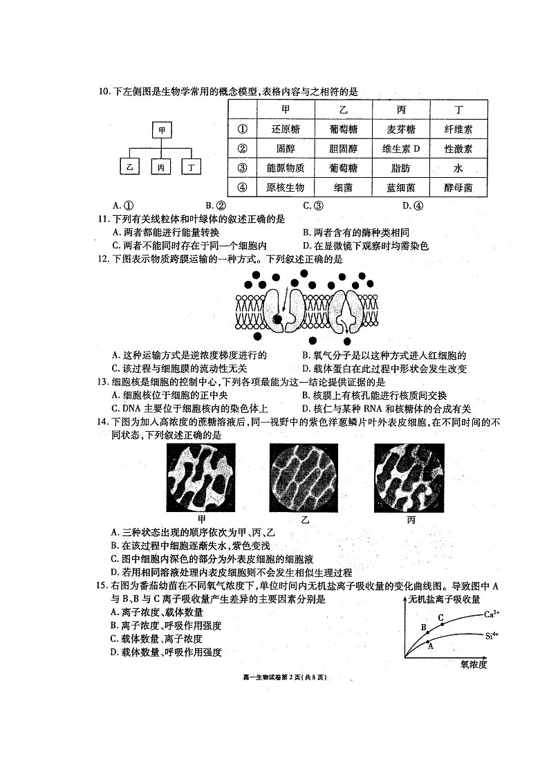 2109无锡江阴-高一上学期期末考试生物试题扫描版含答案02