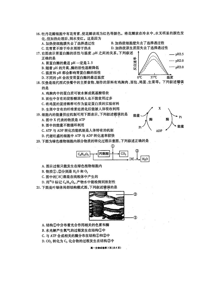 2109无锡江阴-高一上学期期末考试生物试题扫描版含答案03