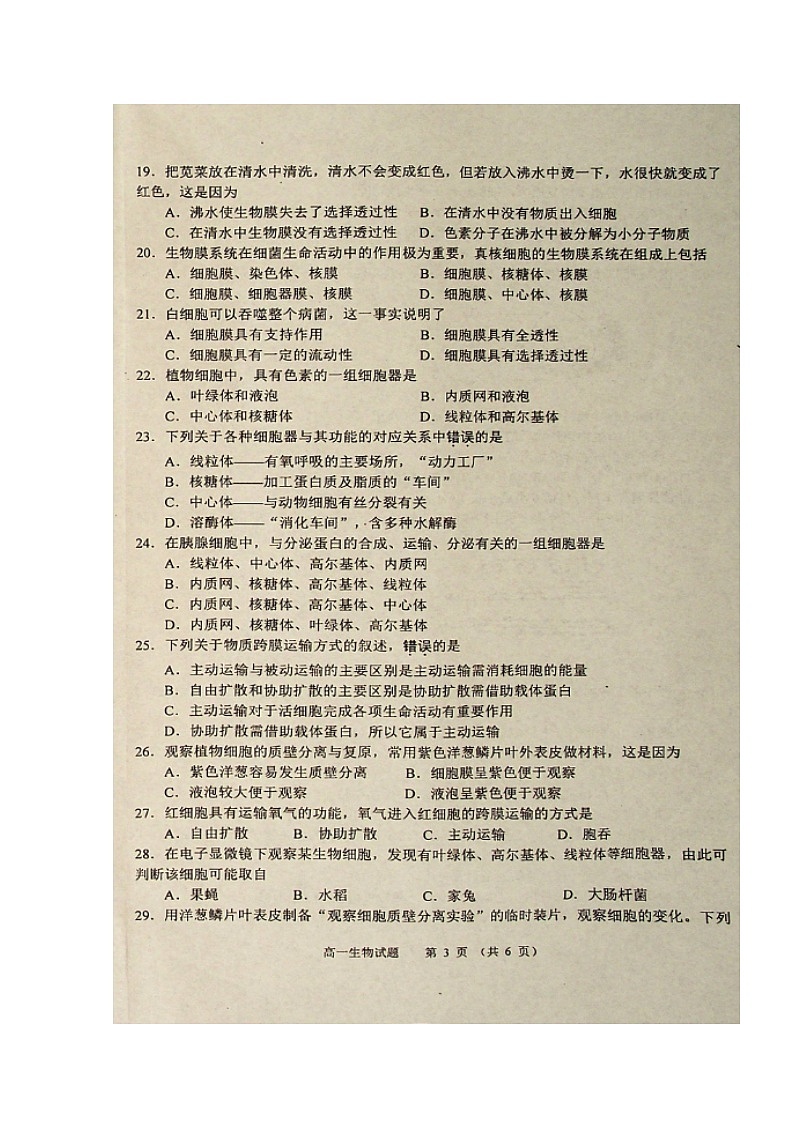 2020徐州丰县中学高一上学期期中考试生物试题扫描版含答案第3页