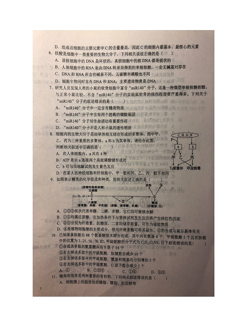 2020六安一中高一（茅以升班）上学期第二次阶段检测生物试题扫描版含答案第2页