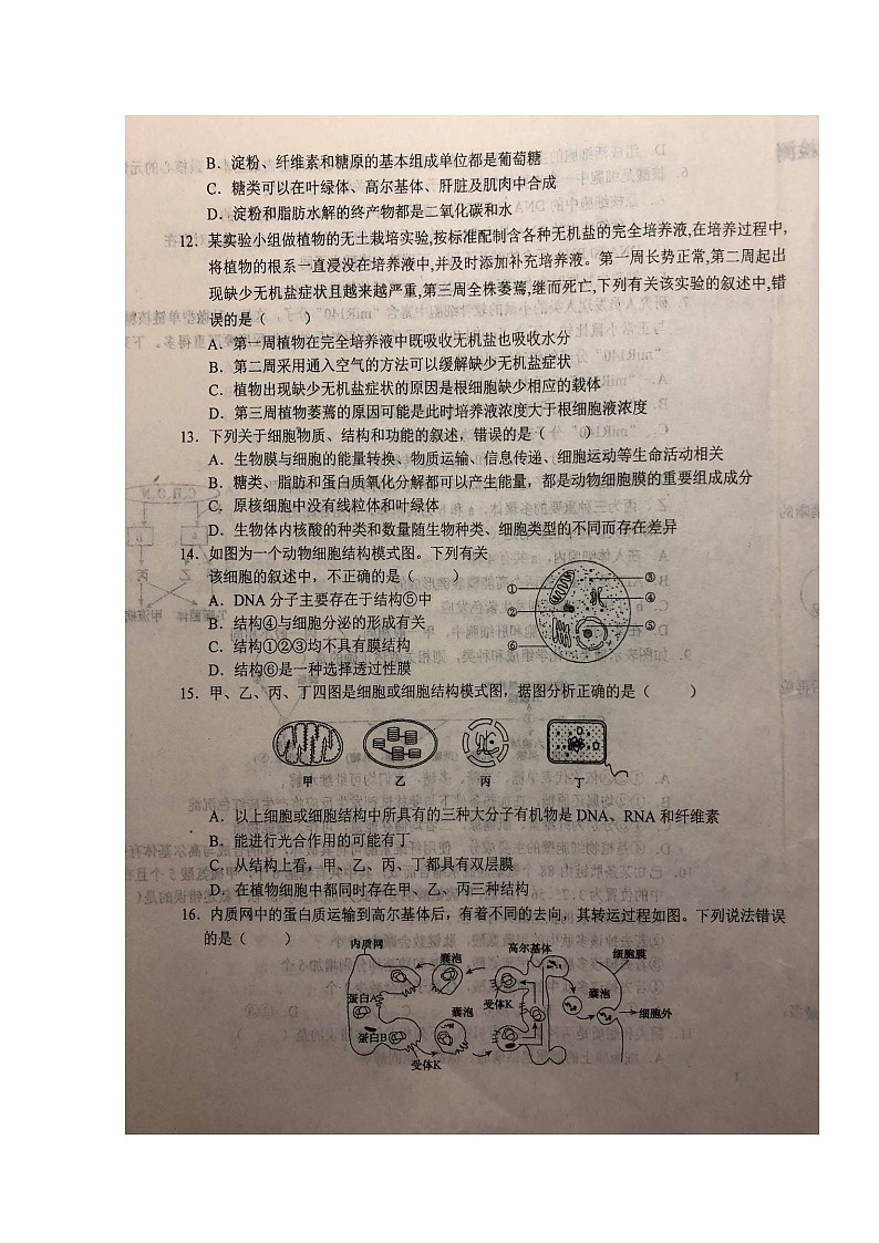 2020六安一中高一（茅以升班）上学期第二次阶段检测生物试题扫描版含答案第3页