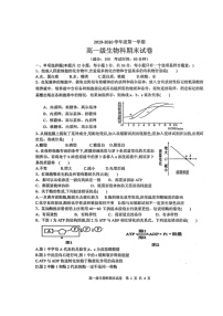 2020揭阳产业园高一上学期期末考试生物试题扫描版缺答案